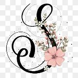 Suresh S