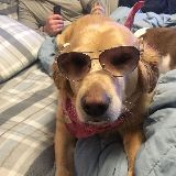 Bridget Hozempa-Emanski