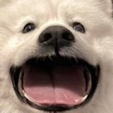 隐藏