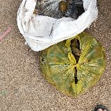 ភាសាខ្មែរ 