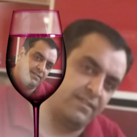 mostafa feizi