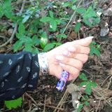 Greguar De Fransac - 1 contributions in last 90 days