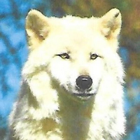 kalistyl@free.fr