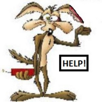 Termite