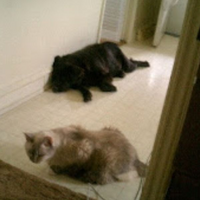 Missy and Mama