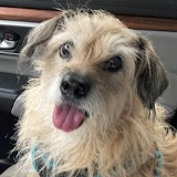 Fuzzyface