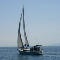 bolliwi
