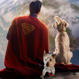 Dr. Woof Woof