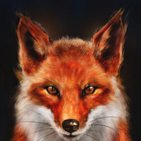 Firefox Moto E 4 Plus