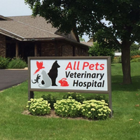 All Pets Veterinary Hospital