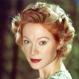 Stephanie Dial