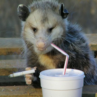 POSSUM