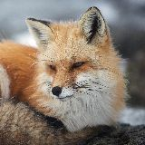 mamakatz779
