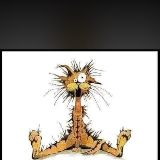 Bill The Cat
