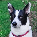 JH