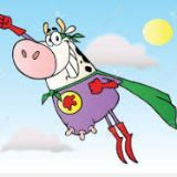 sueofcow