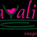 enogastronomia cavalieri