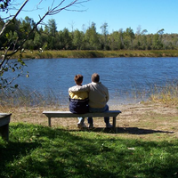 Mink River