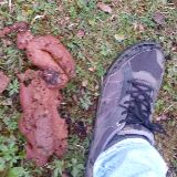 518 - 1 contributions in last 90 days