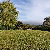 Míguel 