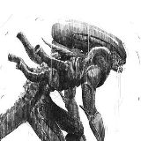 Fighter 