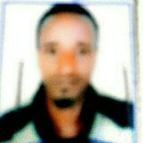 mulugeta bayisa