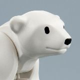 PolarBearJer