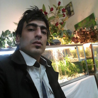 محمدرضا فیض الهی