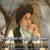شيخ روحاني عراقي جليل
