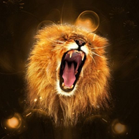 Xahid